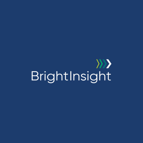 project-brightinsight-img-1